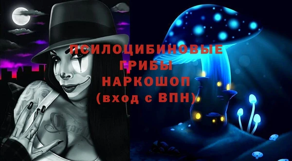 сатива Горно-Алтайск