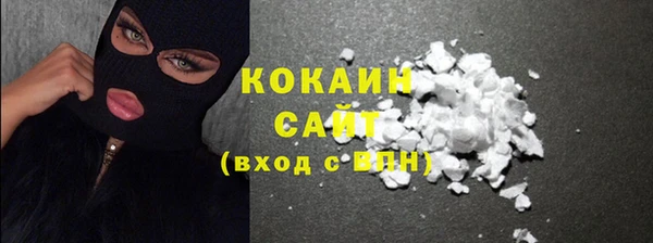 apvp Горняк