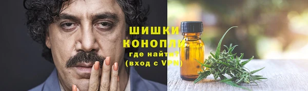 тгк Горнозаводск