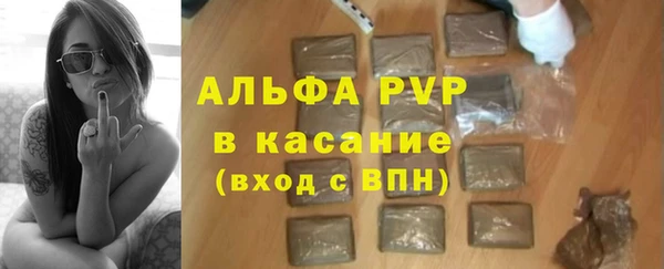 apvp Горняк