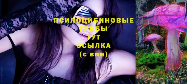 apvp Горняк