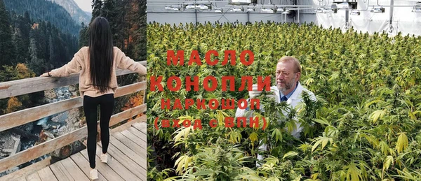тгк Горнозаводск
