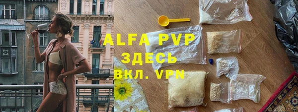 apvp Горняк