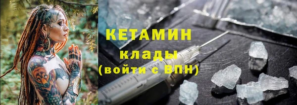 сатива Горно-Алтайск