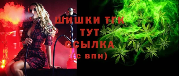 apvp Горняк