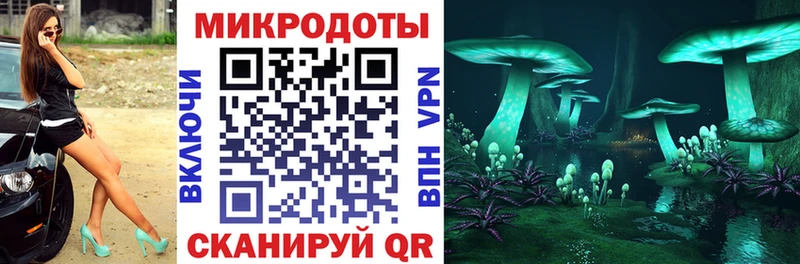 Псилоцибиновые грибы Psilocybine cubensis  Купить где  Заинск 